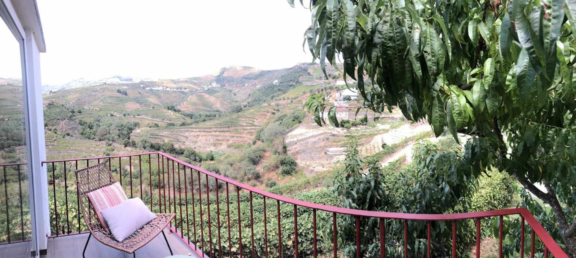 Quinta Da Pousada Casa De Campo Santa Marta de Penaguiao Bagian luar foto
